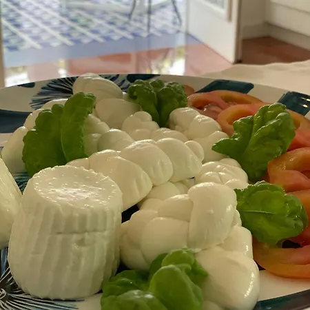 Cettina Boutique Vendégház