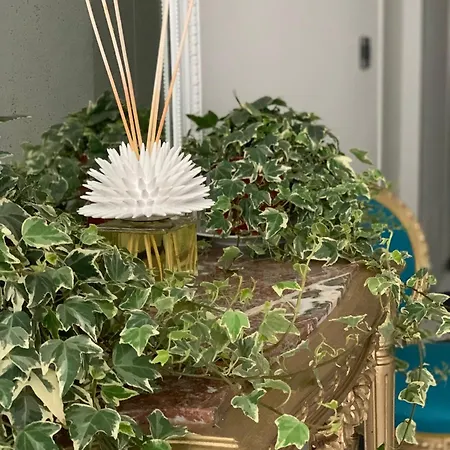 Гостевой дом Cettina Boutique