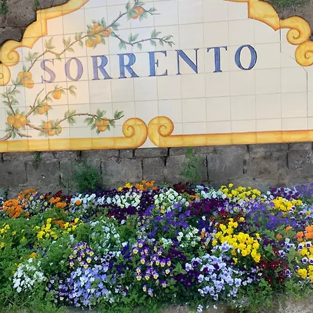 Гостевой дом Cettina Boutique