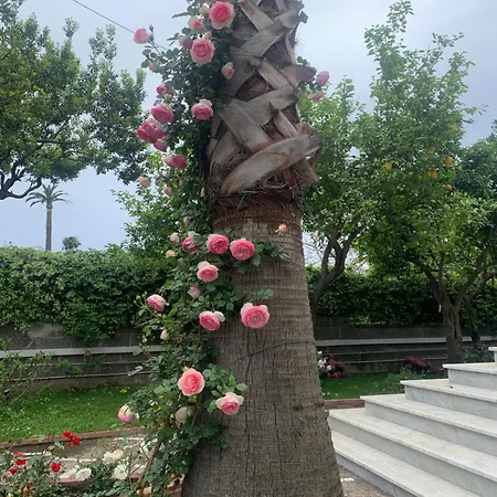 Cettina Boutique Affittacamere Sorrento