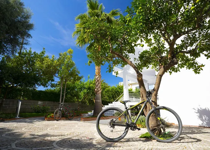 Cettina Boutique 소렌토