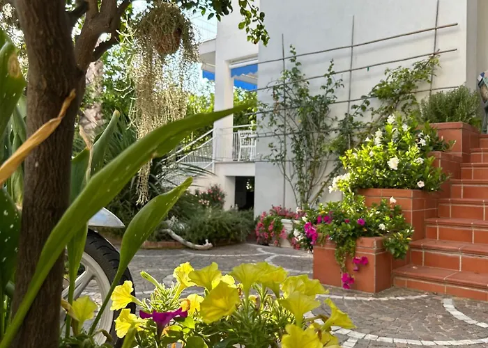 Cettina Boutique Guest house Sorrento
