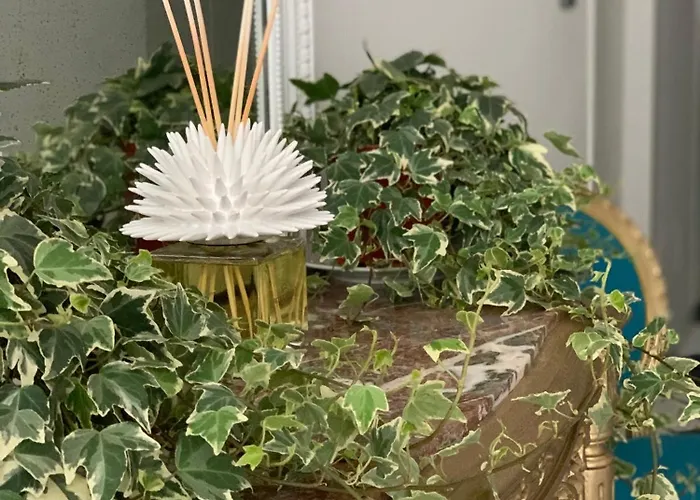 Guest house Cettina Boutique