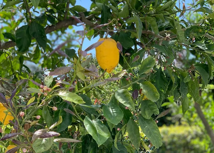 Cettina Boutique Sorrento