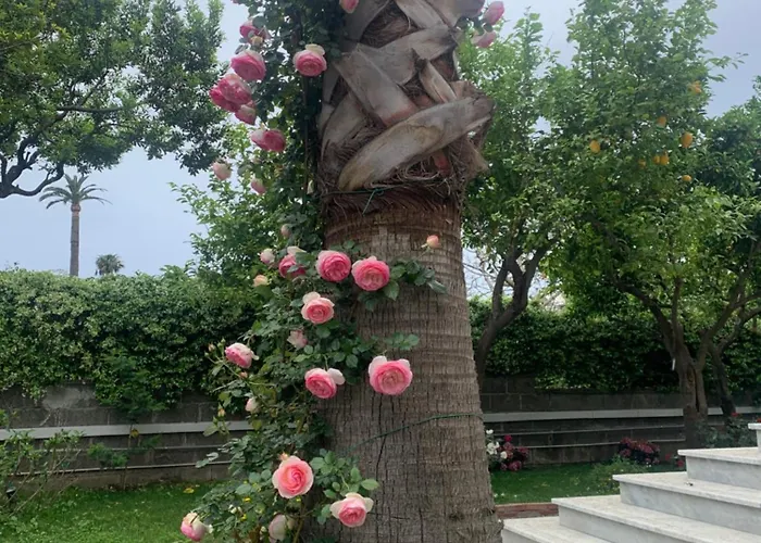 Cettina Boutique Vendégház Sorrento